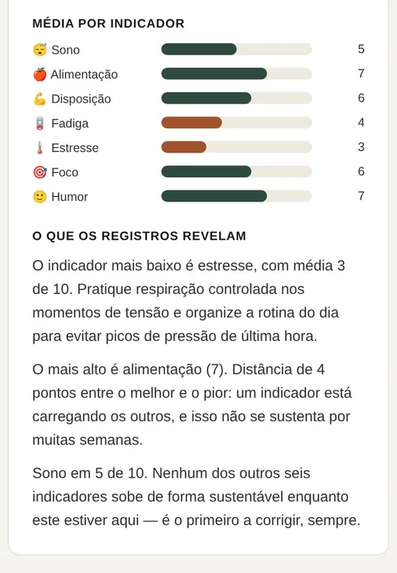 Tela da leitura de desempenho gerada pelo Painel